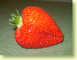 jagode